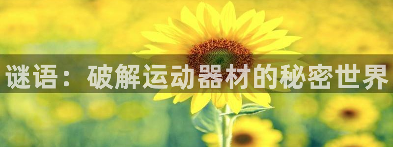 征途国际软件：谜语：破解运动器材的秘密世界