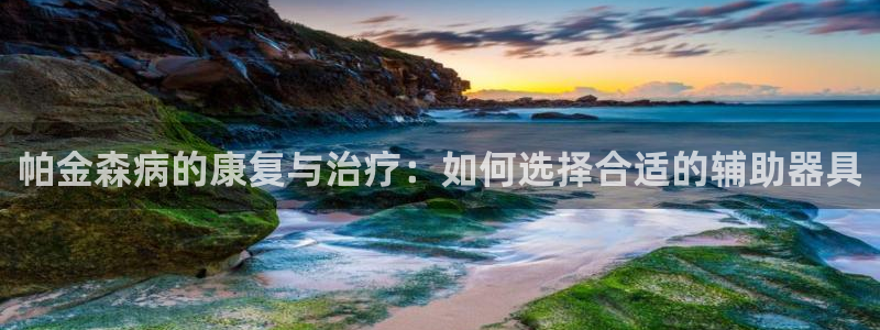 征途国际神州：帕金森病的康复与治疗：如何选择合适的辅
