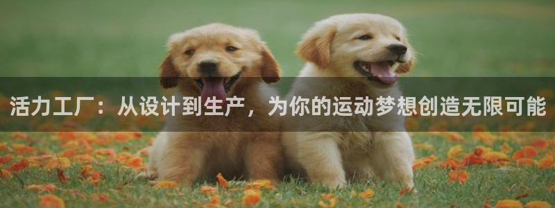 征途国际招商电话地址：活力工厂：从设计到生产，为你的运动梦想