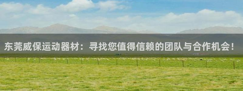 征途国际代理：东莞威保运动器材：寻找您值得信赖的团队