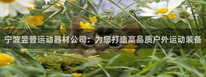 征途国际招商电话是多少啊：宁波昱普运动器材公司：为您