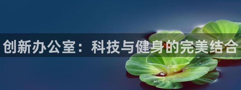 征途国际娱乐代理怎么样：创新办公室：科技与健身的完美结合
