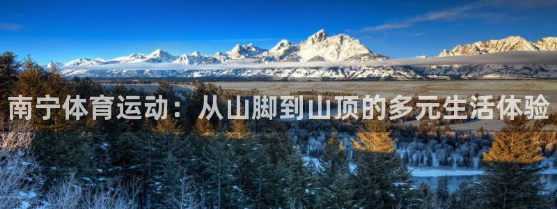 征途国际娱乐首页官网下载：南宁体育运动：从山脚到山顶
