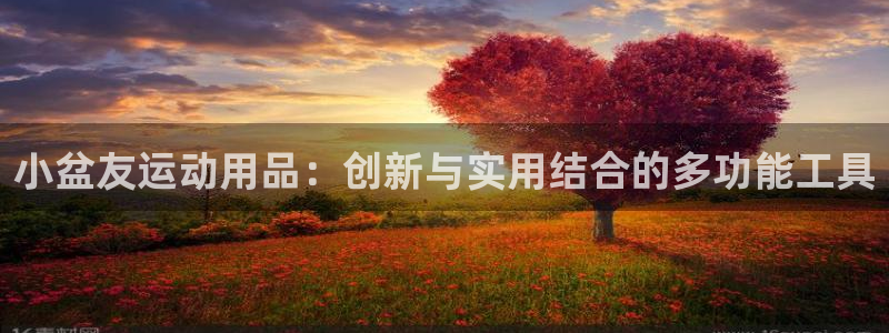 征途国际科技：小盆友运动用品：创新与实用结合的多功能工具