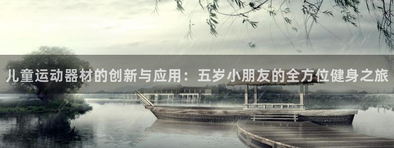 征途国际软件
