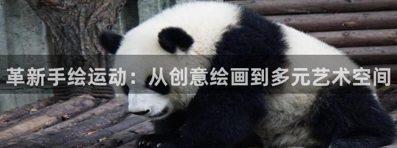 征途国际软件