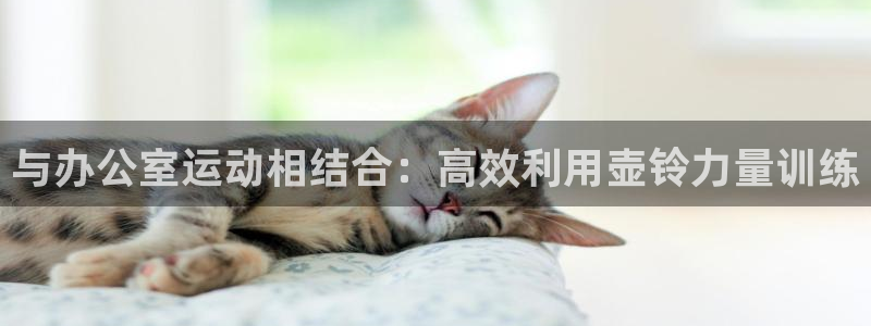 征途国际招商电话号码是多少号