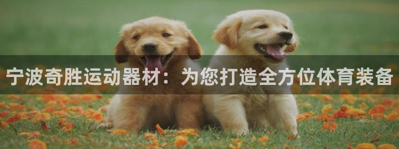 征途国际官方客服电话