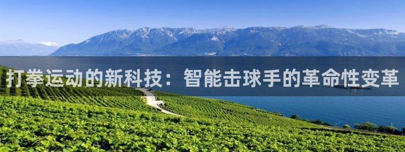 征途国际娱乐首页官网下载：打拳运动的新科技：智能击球手的革命