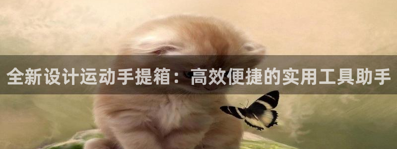 海南征途国际：全新设计运动手提箱：高效便捷的实用工具助手