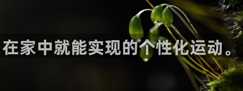 征途国际娱乐首页网站大全