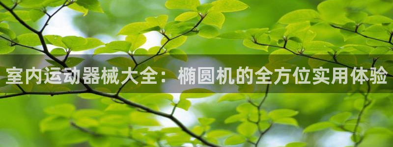 征途国际娱乐代理怎么样：室内运动器械大全：椭圆机的全